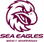 Manly_Warringah_Sea_Eagles_2023–present_logo